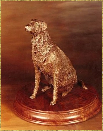 Old Labrador